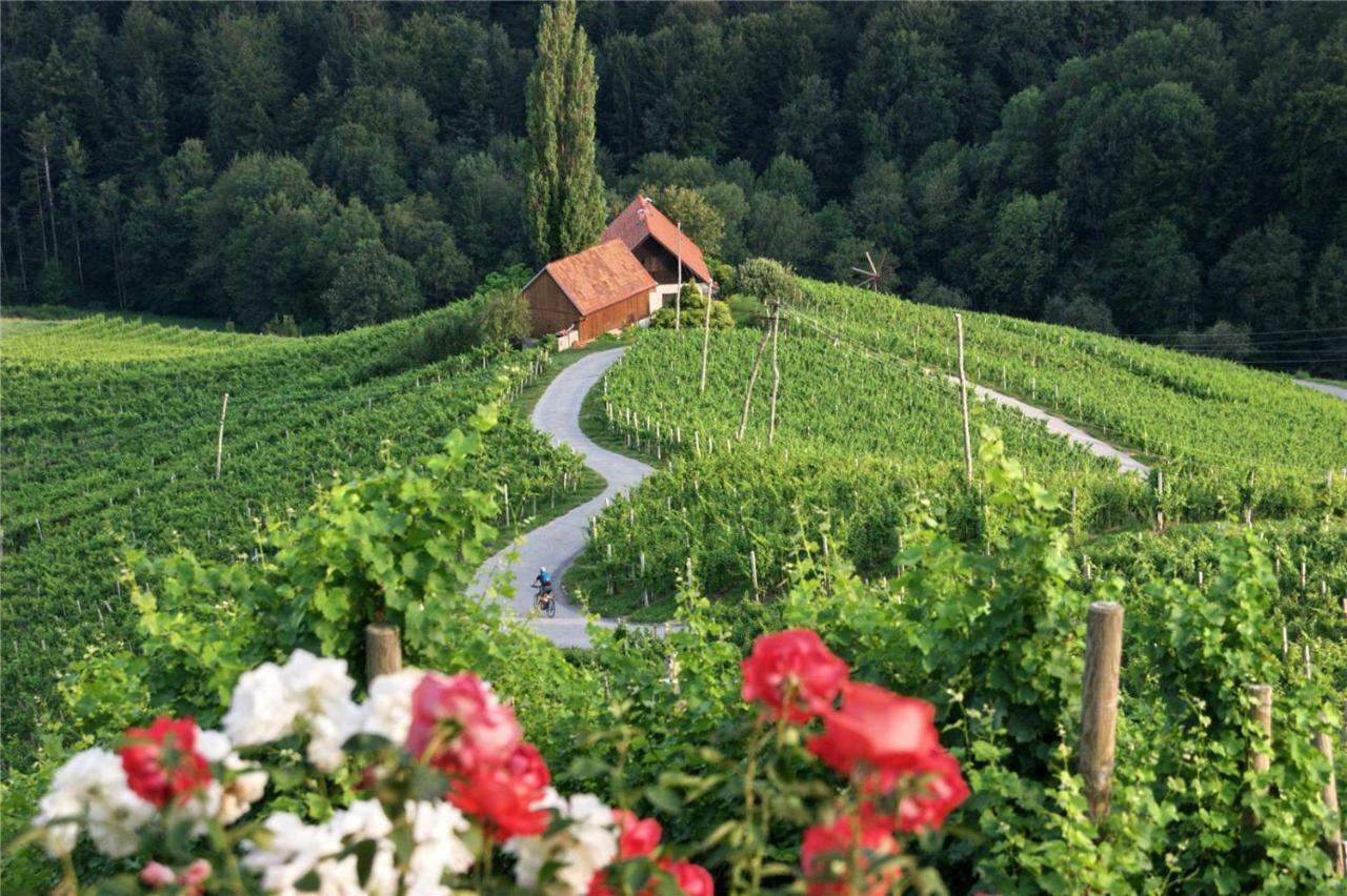 Weingut- Gästezimmer Marko Leutschach Exterior foto