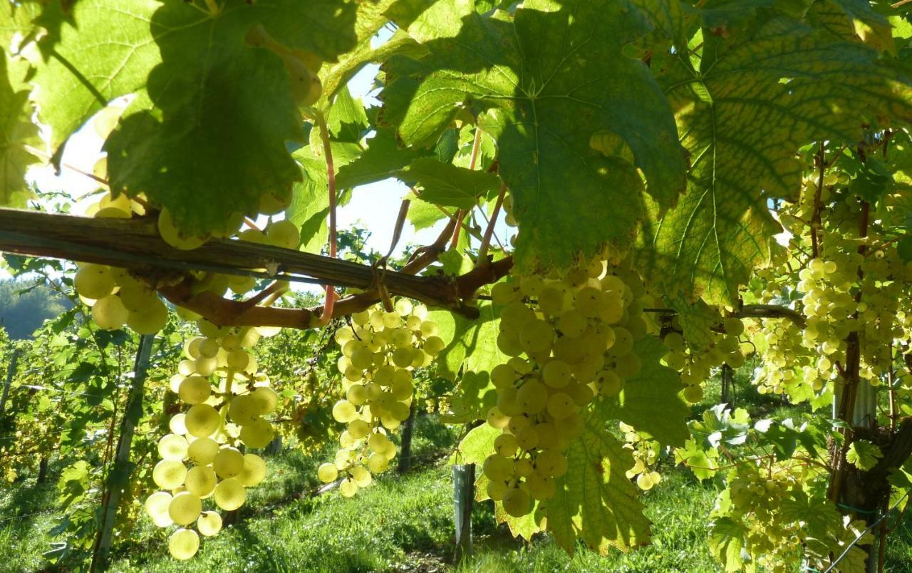 Weingut- Gästezimmer Marko Leutschach Exterior foto