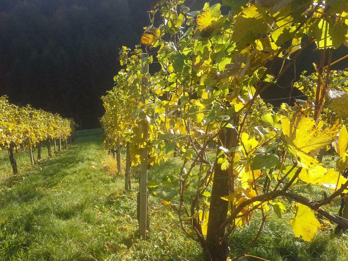 Weingut- Gästezimmer Marko Leutschach Exterior foto